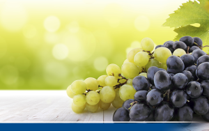 uvas